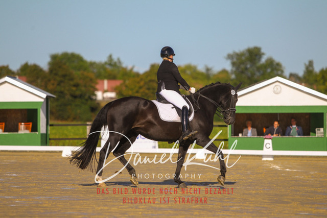 DKP44876 | Turniersportfotografie; Pferdefotografie; Dressurfotografie