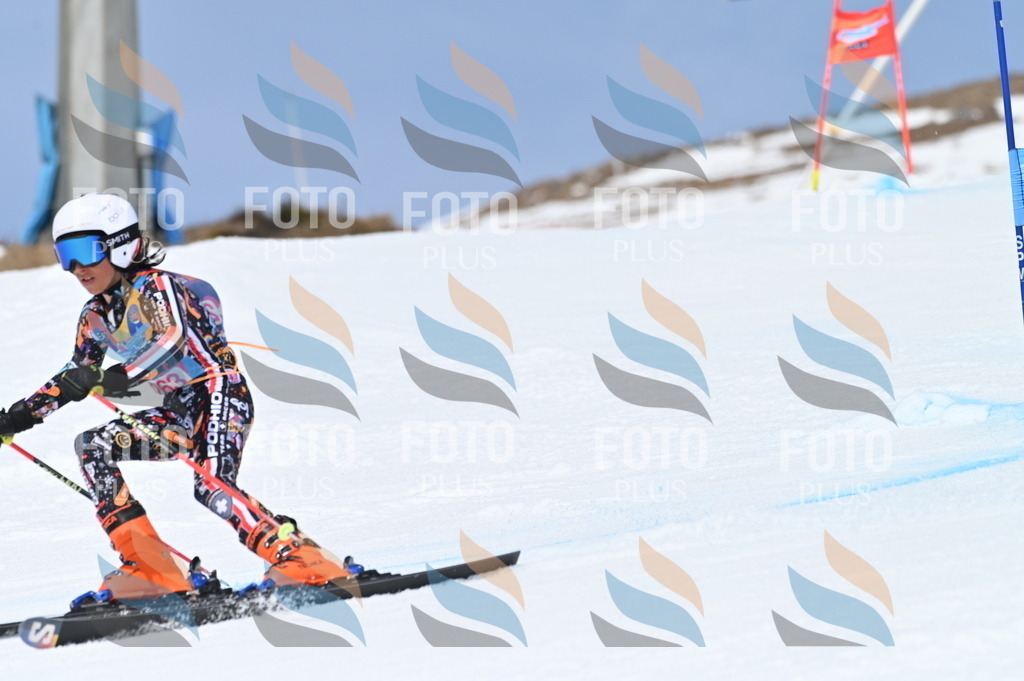 BGV_2136 | holidayphoto