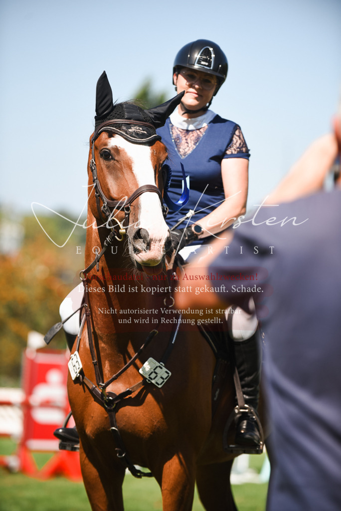 DSC_2943 | Pferde- und Turnierfotografie in Westsachsen. Pferdeportraits, Auftragszeichnungen und intuitive Kunst.