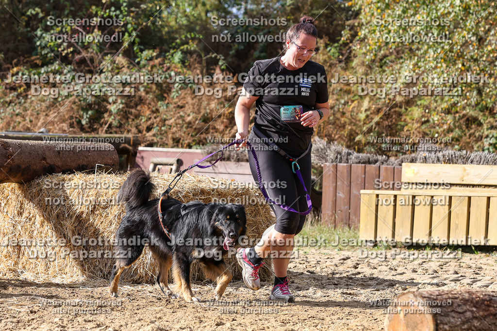 Dog Paparazzi - Strongdog 10-25-5032 | Dog Paparazzi Jeanette Grottendiek Fotografie & Videografie - Realisiert mit Pictrs.com