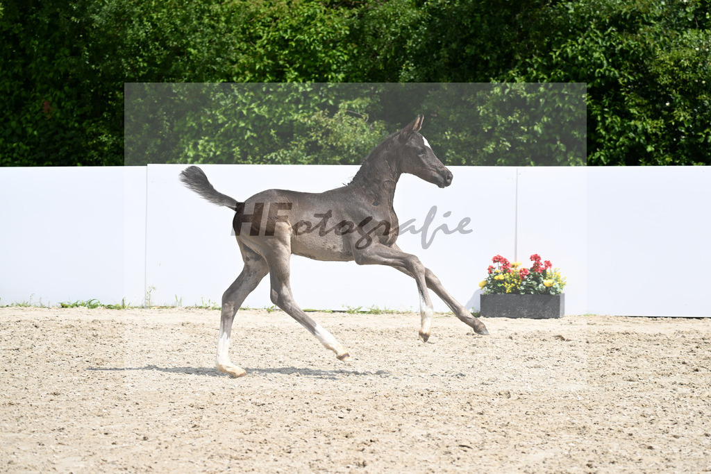 Springnight x Christ_HF_Reisenauer_13250757 | hf-fotografie - Realizzato con Pictrs.com