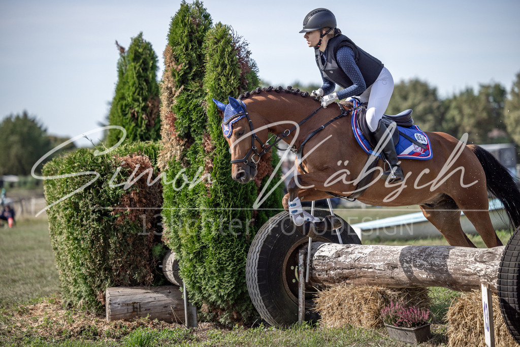 20250907-_3LI9936 | Tierfotografie Pferde, Hunde, Katzen, Haustiere.
Turnierfotografie Reitturniere, Reiten, Springreiten, Dressur in Hanau, dem Main-Kinzig-Kreis und dem Rhein-Main- Gebiet um Frankfurt