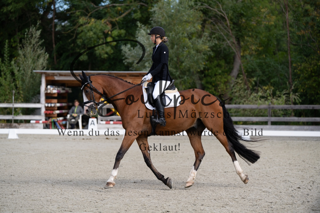 A7V06812 | Turnier/Reitfotograf