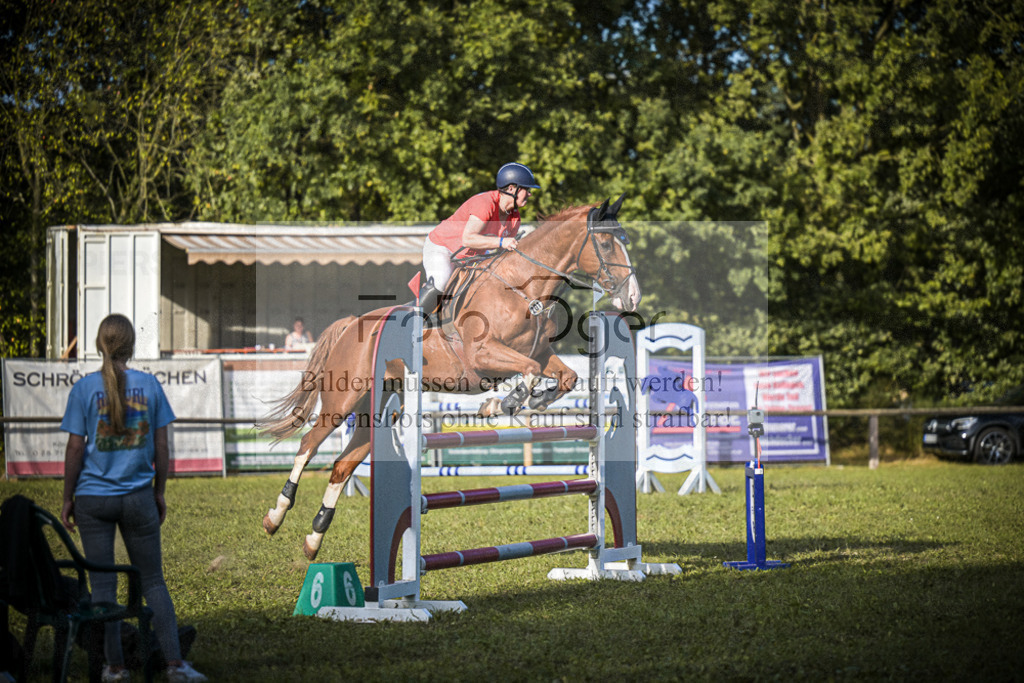 DOS_0388 | Entdecke hochwertige Reitturnierfotos von Foto Oger. Professionell, emotional und authentisch – jetzt Lieblingsmomente im Shop bestellen.Deutschlandweite Turnierfotografie. - Realisiert mit Pictrs.com