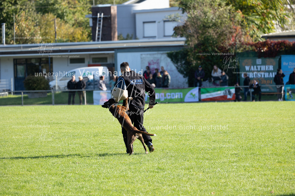 _16A5107 | Einzigartige Fotos von Hunden & Menschen –Actionfotos, Portraits, Vereinsaufnahmen & Paarshootings – authentisch, lebendig & mit Herz.