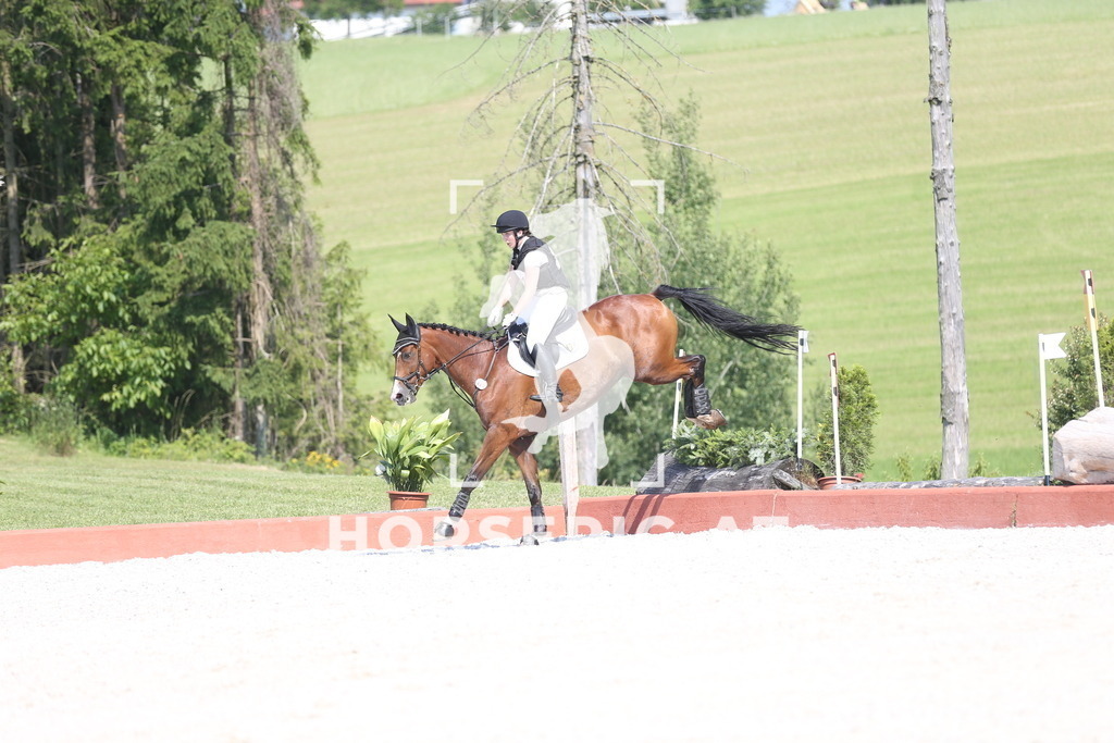 DL2Q2844 | Willkommen bei Brunnmayr - Design & Fotografie – Ihrem Spezialisten für Reitturniere und Pferdeveranstaltungen in Oberösterreich, Salzburg und Bayern! Seit über 17 Jahren sind wir leidenschaftlich dabei.