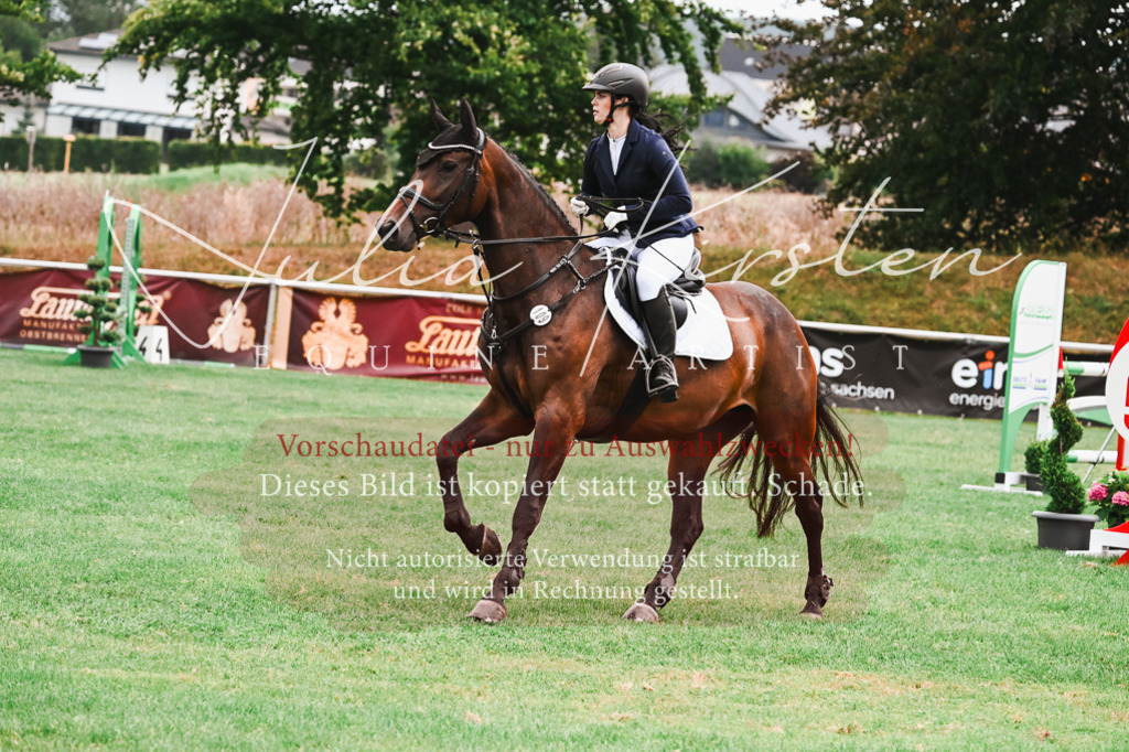 DSC_5992 | Pferde- und Turnierfotografie in Westsachsen. Pferdeportraits, Auftragszeichnungen und intuitive Kunst.