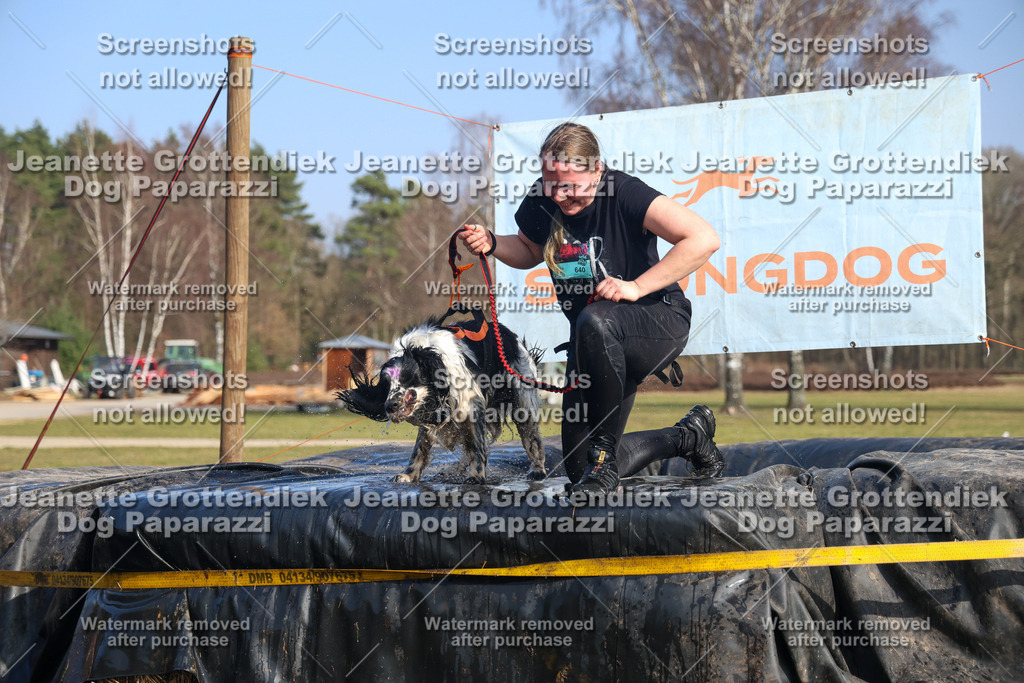 Dog Paparazzi - Strongdog North Mrz26-3188 | Dog Paparazzi Jeanette Grottendiek Fotografie & Videografie - Realisiert mit Pictrs.com