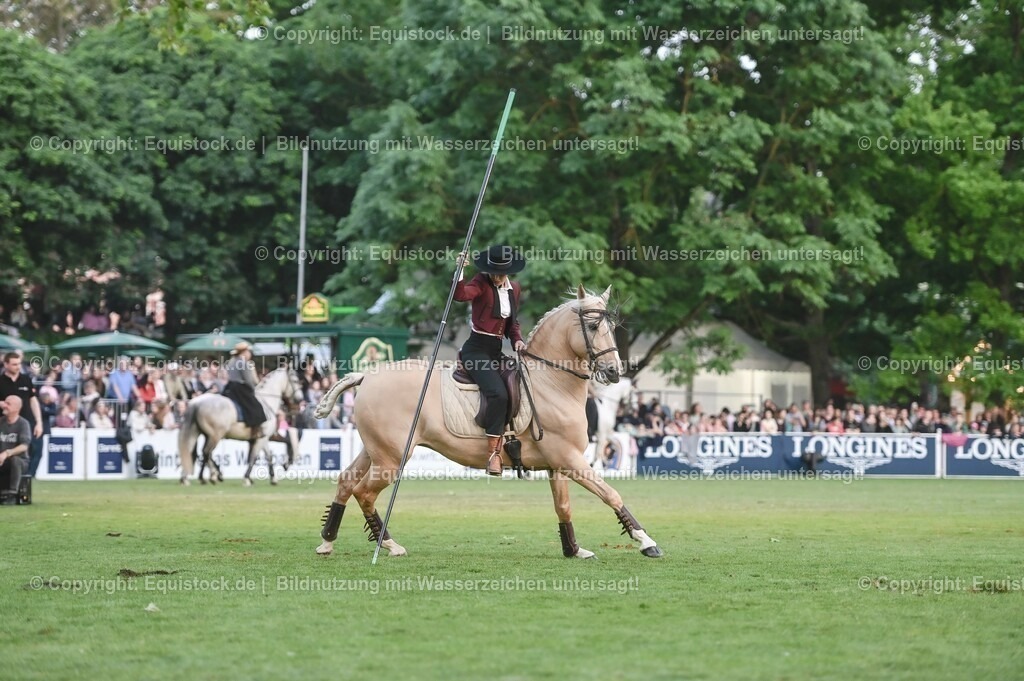 20230526_Pferdenacht_0705 | equistock