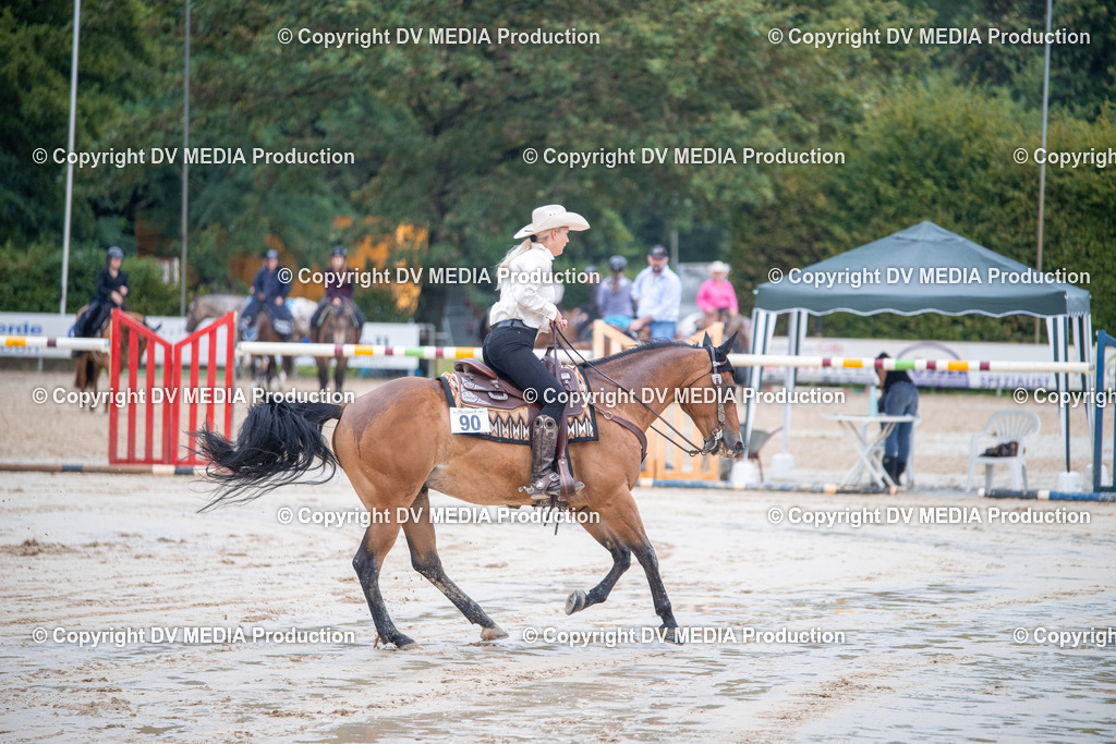 ZS2_4204 | dv-media-shop - Realisiert mit Pictrs.com