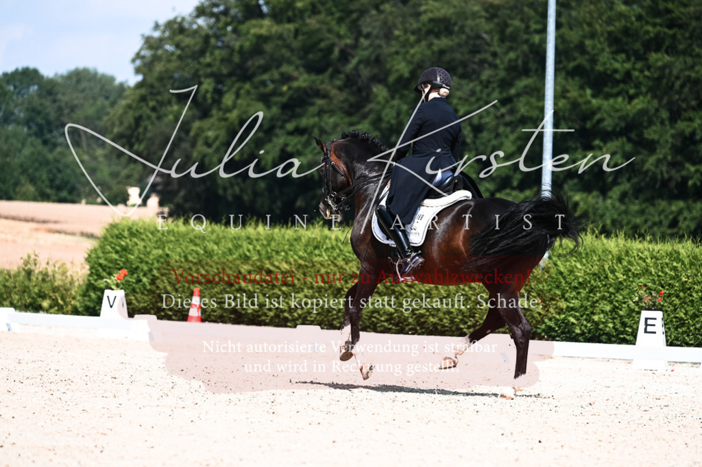 DSC_2972 | Pferde- und Turnierfotografie in Westsachsen. Pferdeportraits, Auftragszeichnungen und intuitive Kunst.