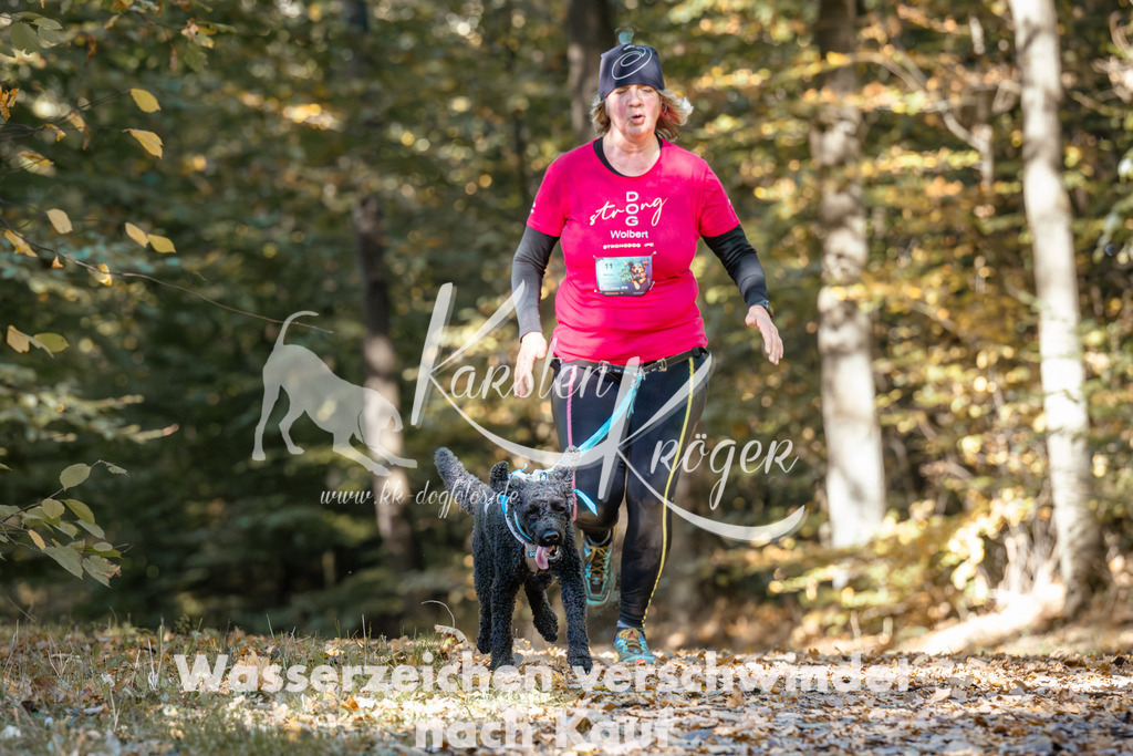 1206_ZZ94282 | kk-dogfotos