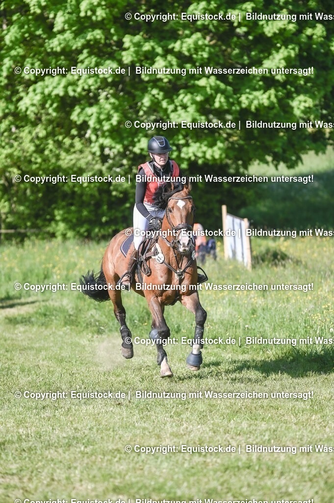 20250517_CCI2_Gelände_0420 | Foto: Thomas Hartig