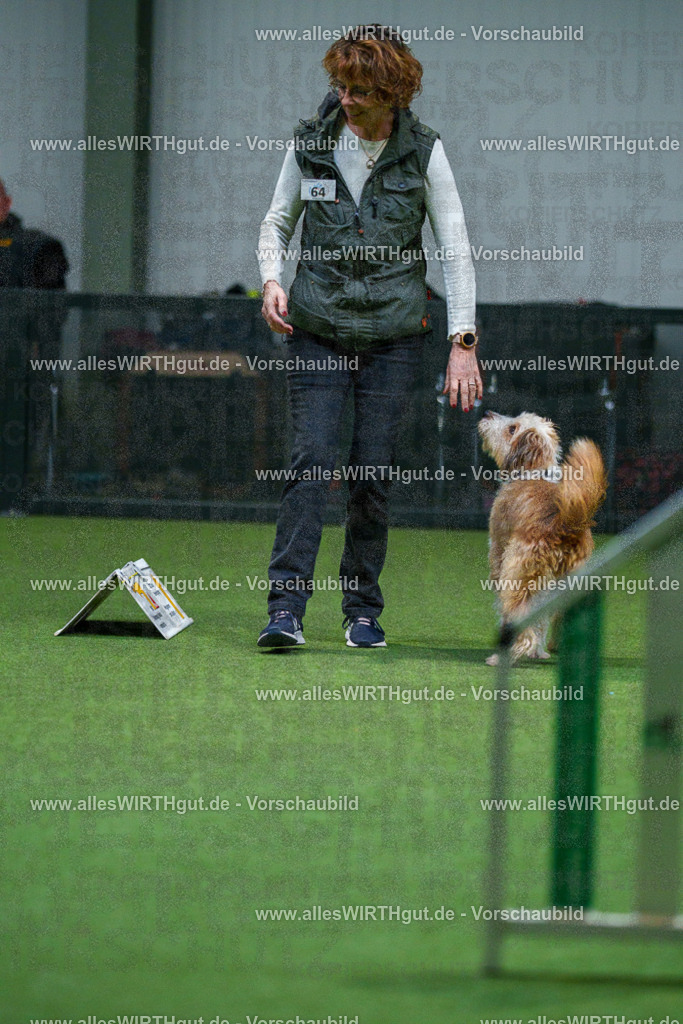 7R503399 | Professionelle Tierfotografie in Mönchengladbach von Daniel Wirth (allesWIRTHgut). Liebevolle & natürliche Bilder von Hunden & Katzen für unvergessliche Erinnerungen.