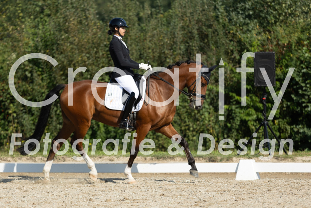 IMG_6015 | Creatify Fotografie