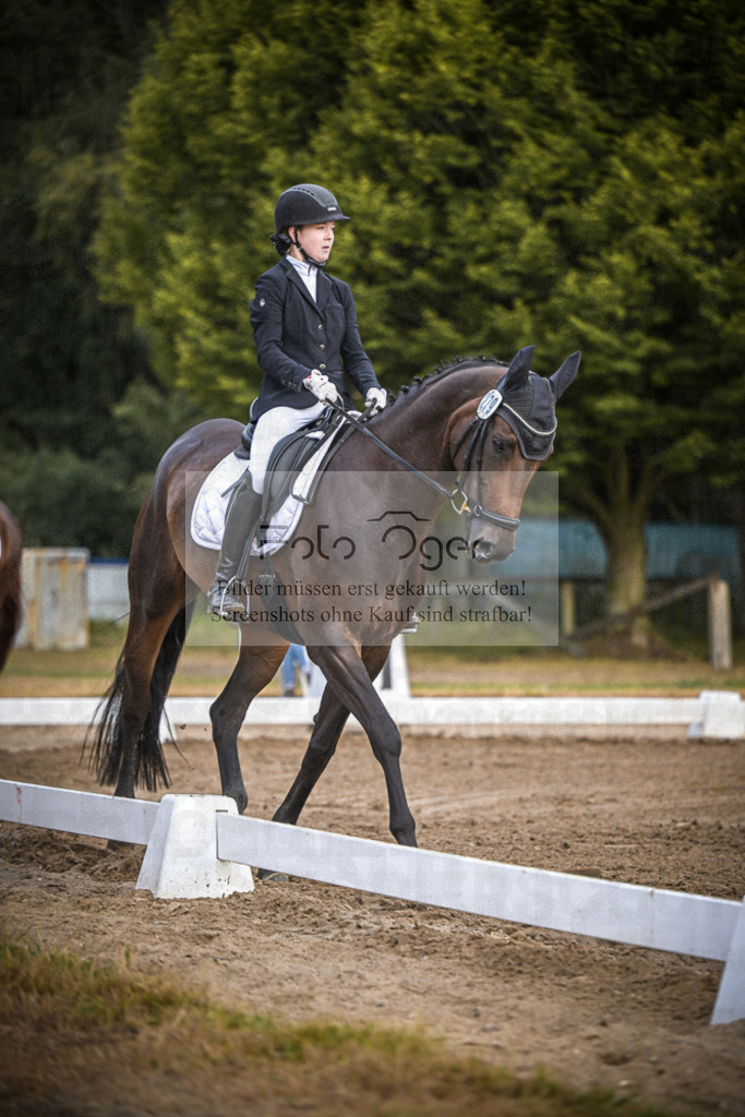 DOS_0320 | Entdecke hochwertige Reitturnierfotos von Foto Oger. Professionell, emotional und authentisch – jetzt Lieblingsmomente im Shop bestellen.Deutschlandweite Turnierfotografie. - Realisiert mit Pictrs.com