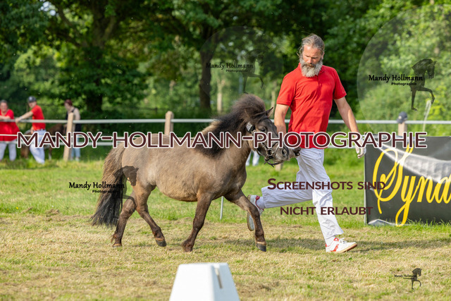 RR 2 (370 von 818) | mandyhollmannphotographie