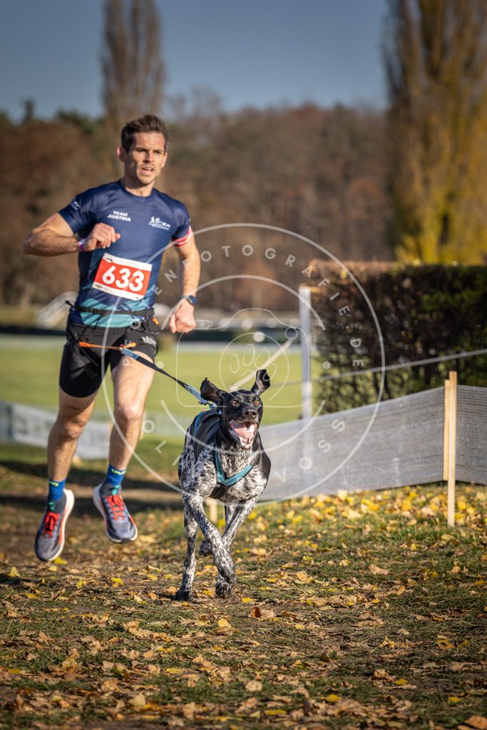 CaniXpix_DV3A0173 | Hundefotografie, Tierfotograf, Pfotenfotografie, Fotoshooting Hund, Hunde Portrait, Hundesport, Hundeportraits, Heideshooting, Hunde, Sportfotograf, Hundefotograf, Turnierhundsport, THS,  - Realisiert mit Pictrs.com