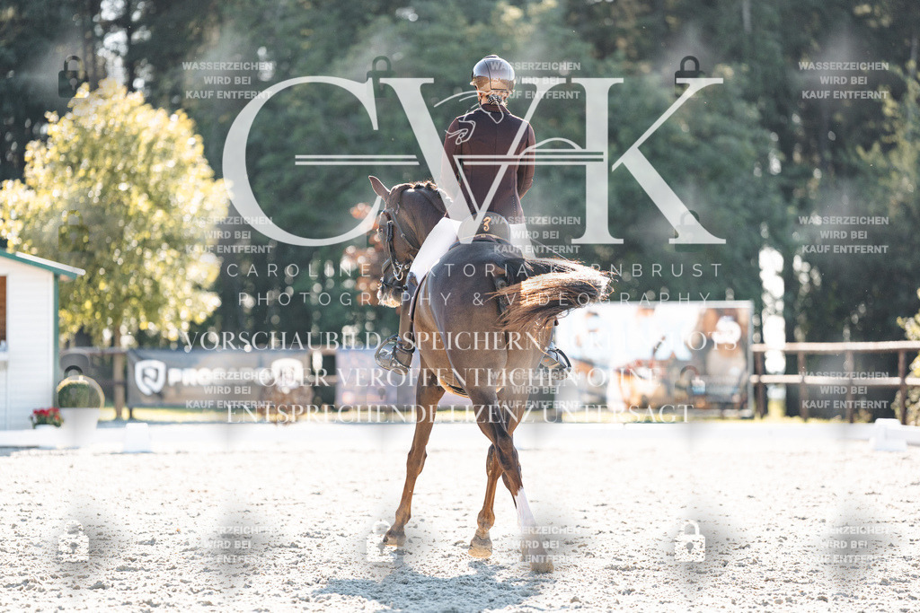 CK906574 | Turnierfotografie Pferdefotografie Trier Rheinland-Pfalz Pferdesport Reitsport Tierfotografie Sportfotografie Pferdevideo Pferdevideografie Equestrianvideography equestrianphotography  - Realisiert mit Pictrs.com