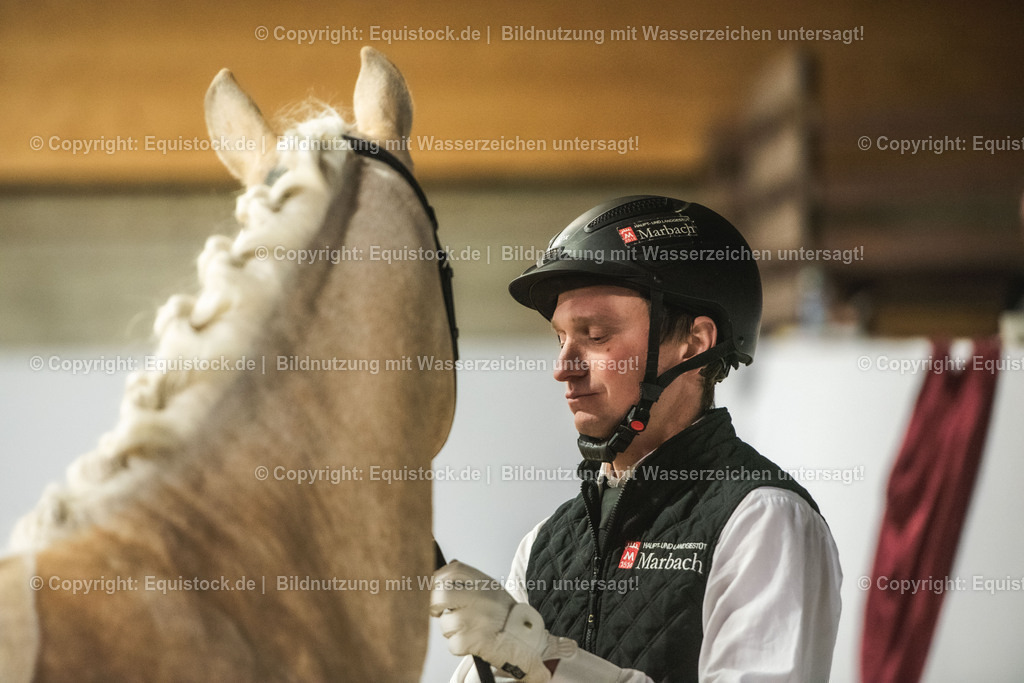 20240302_Hengstvorstellung_Marbach_TOMsPiC_0854 | equistock