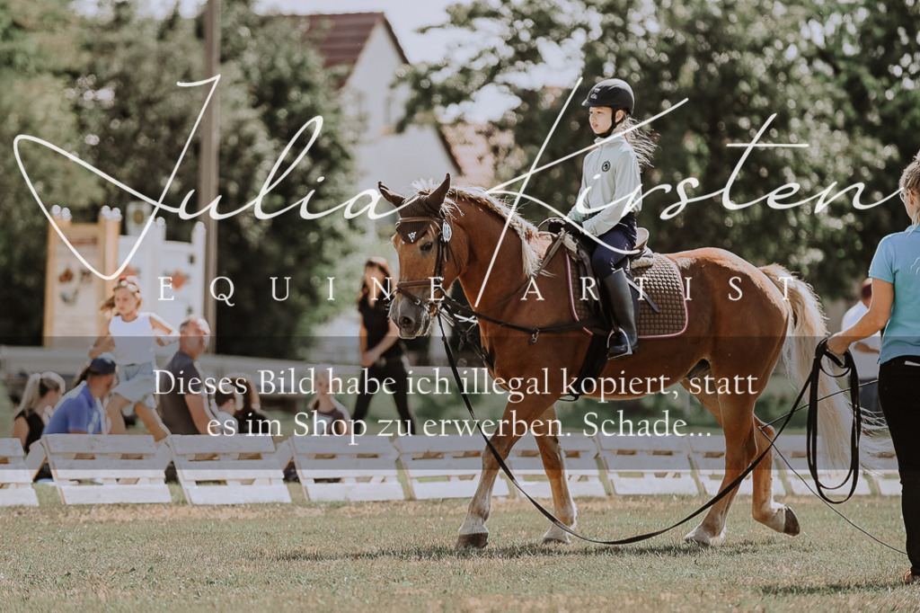 DSC_7554 | Pferde- und Turnierfotografie in Westsachsen. Pferdeportraits, Auftragszeichnungen und intuitive Kunst.