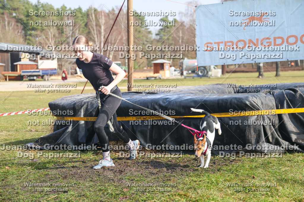 Dog Paparazzi - Strongdog North Mrz26-2151 | Dog Paparazzi Jeanette Grottendiek Fotografie & Videografie - Realisiert mit Pictrs.com