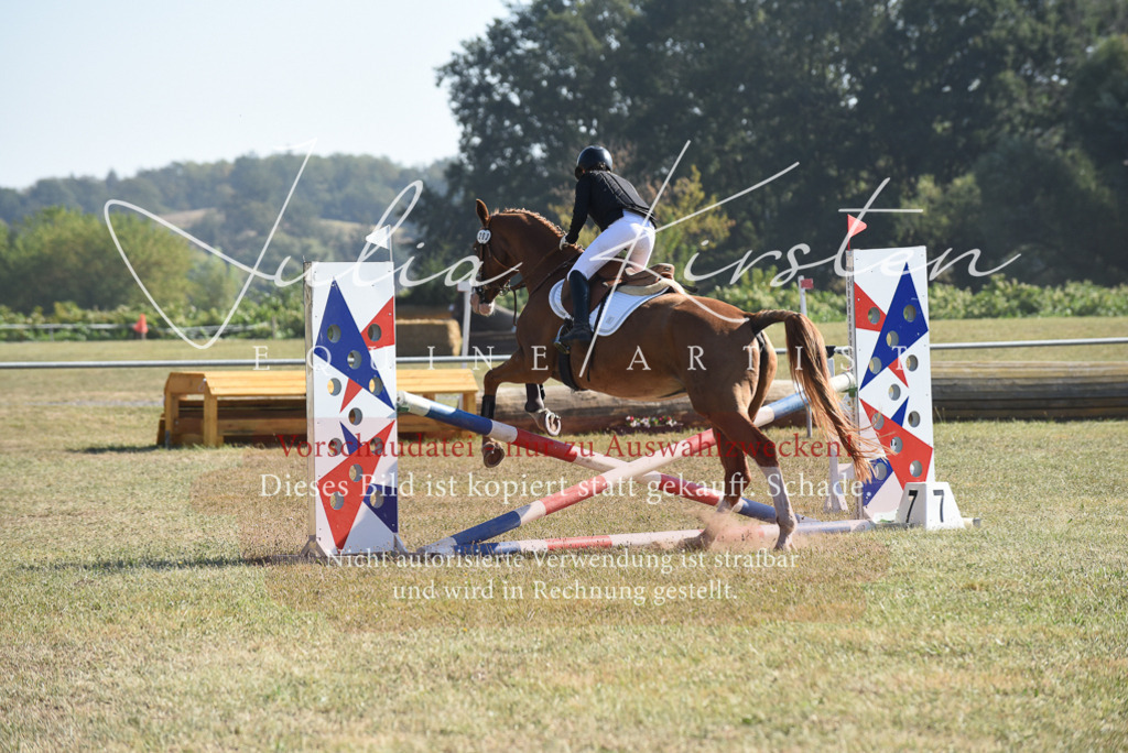 DSC_5968 | Pferde- und Turnierfotografie in Westsachsen. Pferdeportraits, Auftragszeichnungen und intuitive Kunst.