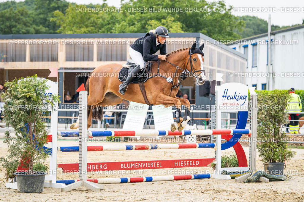 DSC00169 | Pferdegrafie