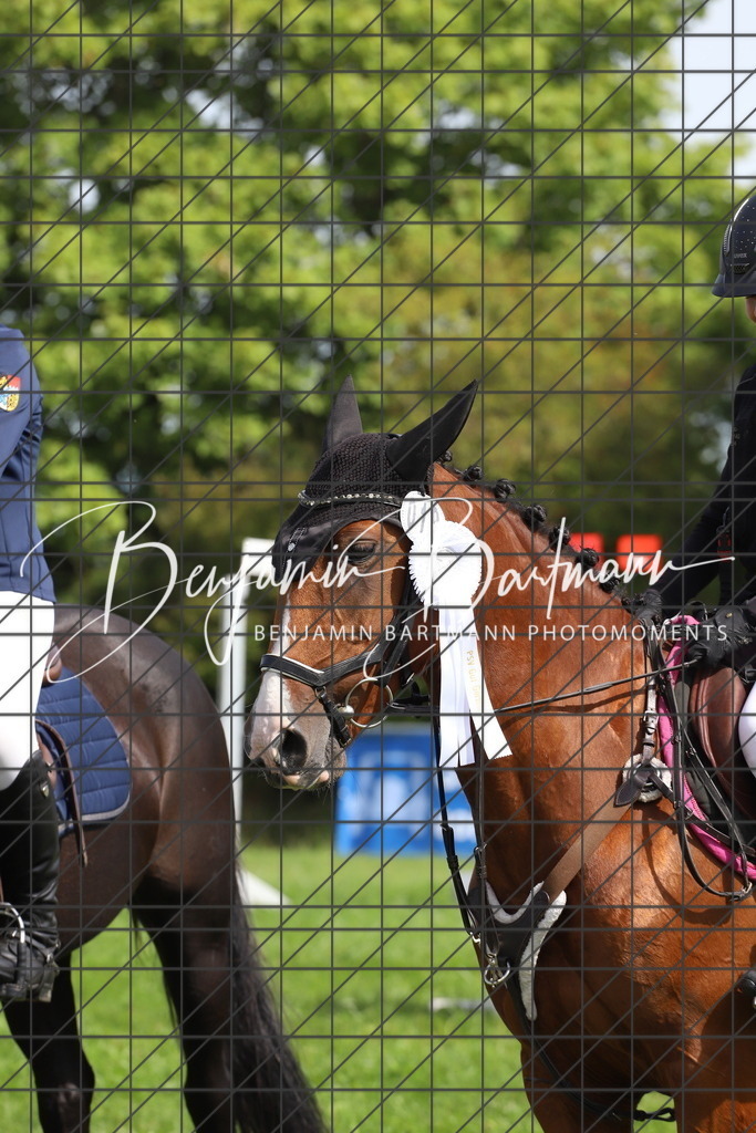 IMG_7274 | Benjamin Bartmann Photomoments