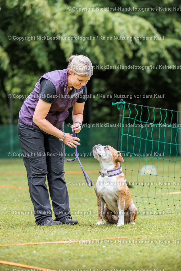 RO-Blumenthal-2026-Nickbest-Hundefotografie-1129 | Dein Hund! Dein Moment! Deine Erinnerungen! Hundefotografie in Bremen Blumenthal. Ich fange die besonderen Momente deines Vierbeiners ein – ob Indoor mit Blitzanlage oder in der freien Natur. Sicher dir dein Moment und dein Termin für eure Erinnerungen.