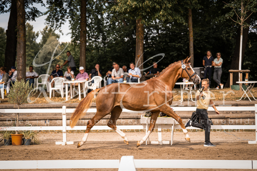 7.Fr00007 | Leoni Ertmer Photography - Realisiert mit Pictrs.com