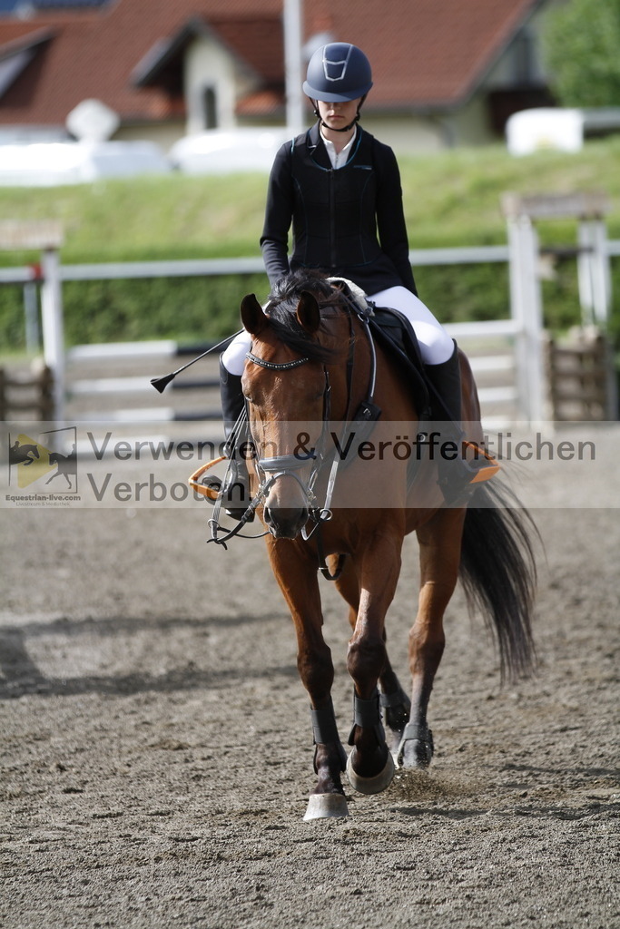 _MG_2252 | equestrian-live-com
