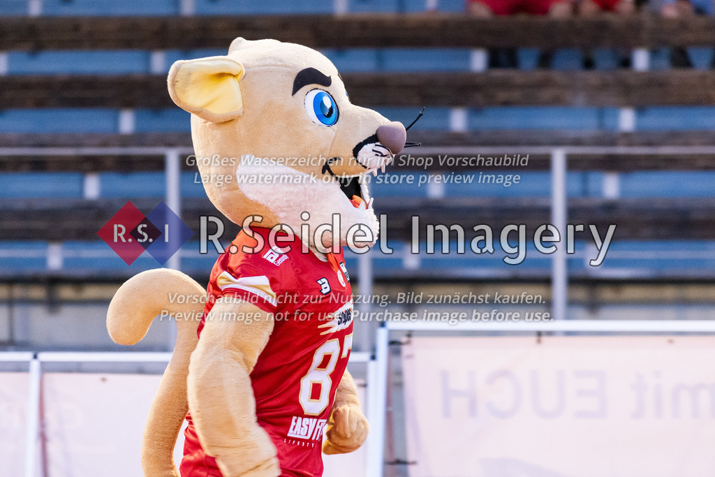 RS-1-006067 | Cody Cougar (Maskottchen, Lübeck)