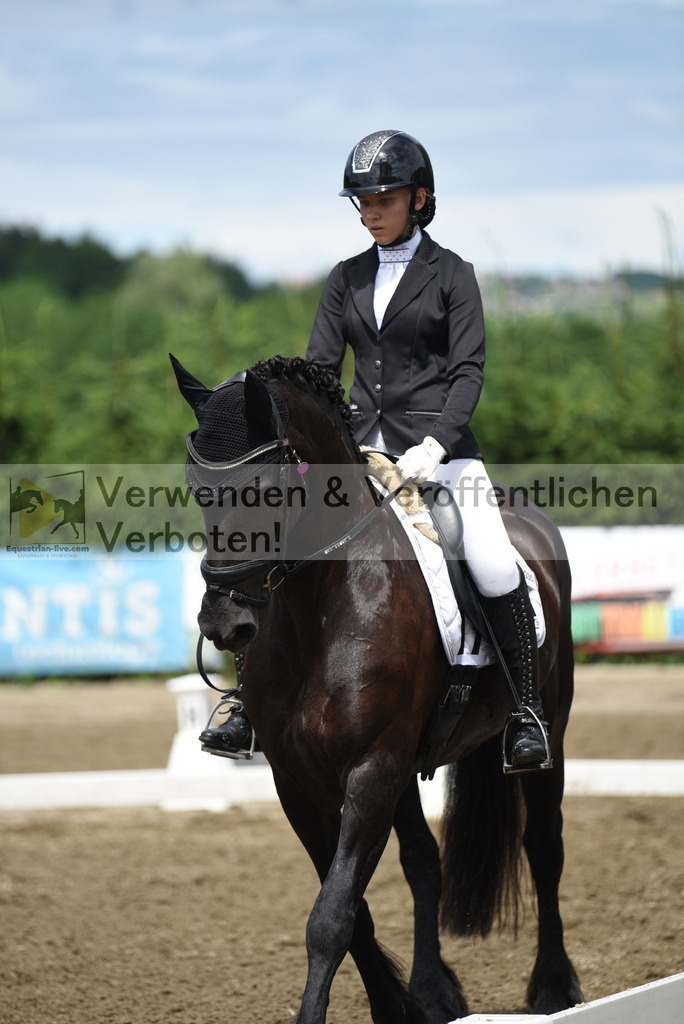 DSC_0777 | equestrian-live-com