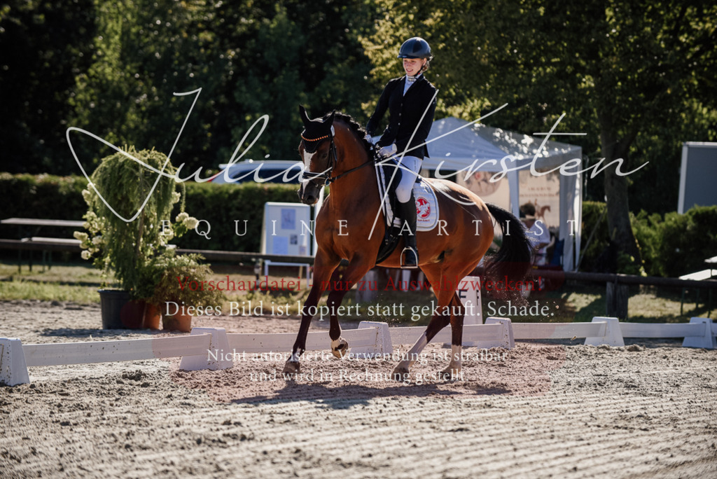 DSC_0348 | Pferde- und Turnierfotografie in Westsachsen. Pferdeportraits, Auftragszeichnungen und intuitive Kunst.