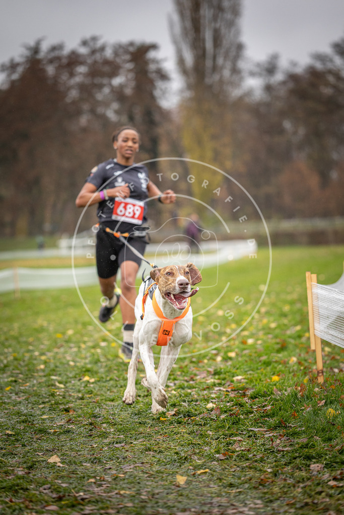 CaniXpix_DV3A8963 | Hundefotografie, Tierfotograf, Pfotenfotografie, Fotoshooting Hund, Hunde Portrait, Hundesport, Hundeportraits, Heideshooting, Hunde, Sportfotograf, Hundefotograf, Turnierhundsport, THS,  - Realisiert mit Pictrs.com