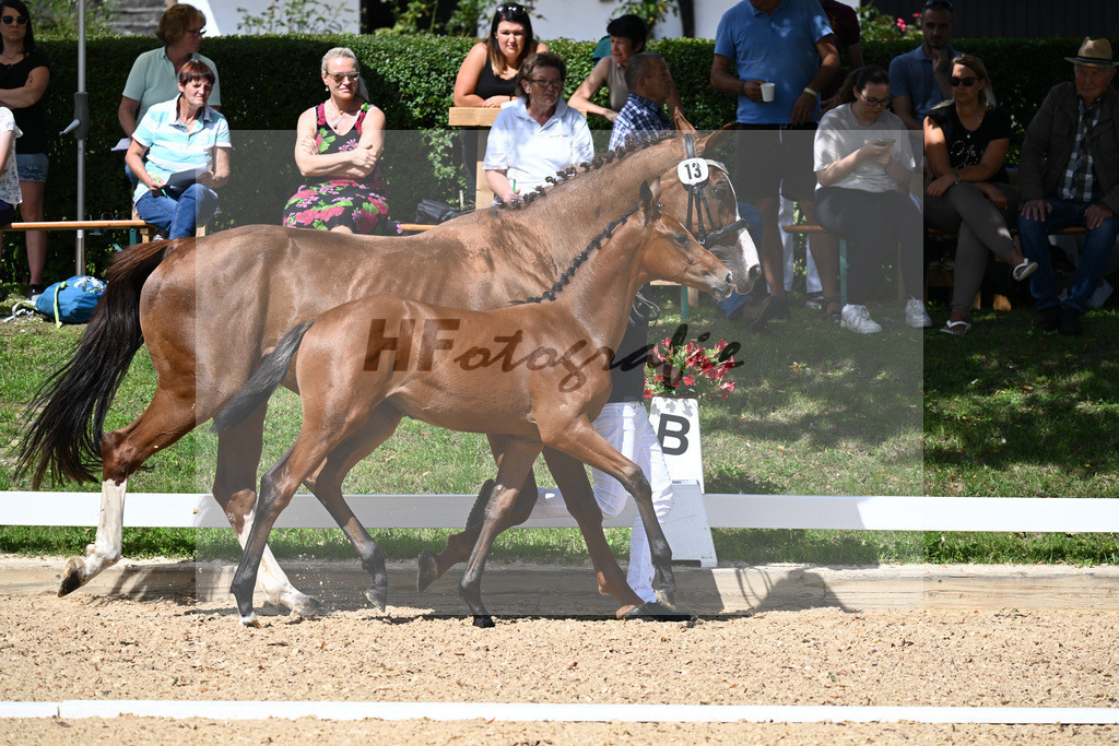 Kat-Nr. 13 SF Zenetti x Don Diamond_Schneider_27230307 | hf-fotografie - Realisiert mit Pictrs.com