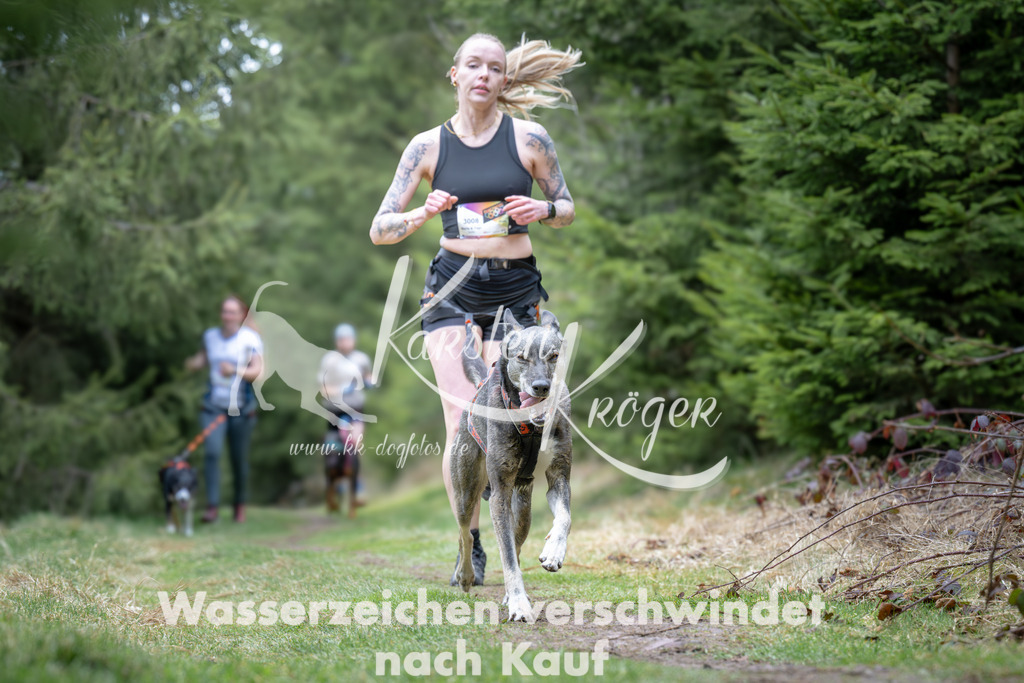 1304_ZZ93540 | kk-dogfotos