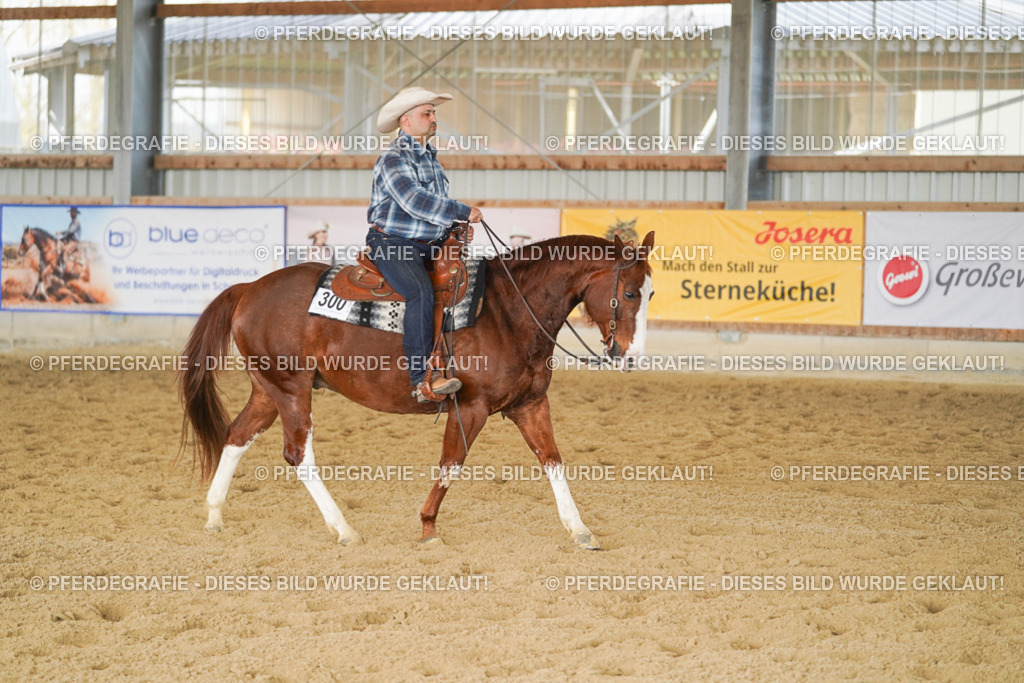 DSC01480 | Pferdegrafie