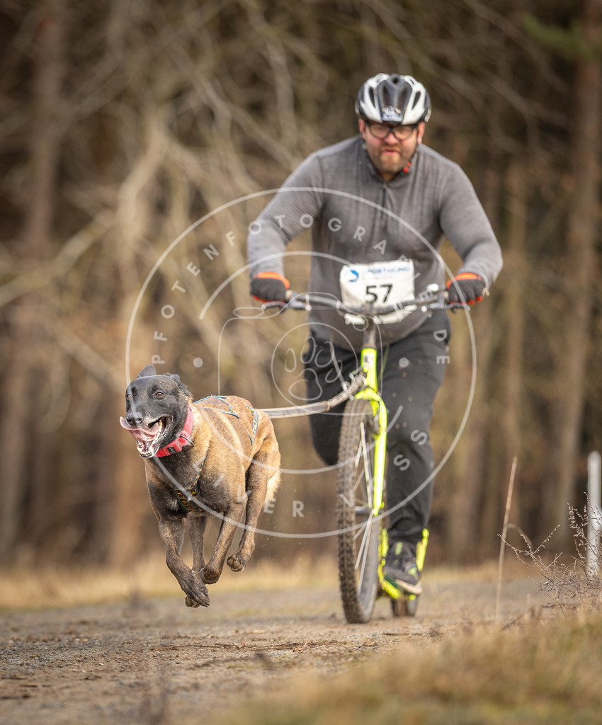 DV3A3486 | Hundefotografie, Tierfotograf, Pfotenfotografie, Fotoshooting Hund, Hunde Portrait, Hundesport, Hundeportraits, Heideshooting, Hunde, Sportfotograf, Hundefotograf, Turnierhundsport, THS,  - Realisiert mit Pictrs.com