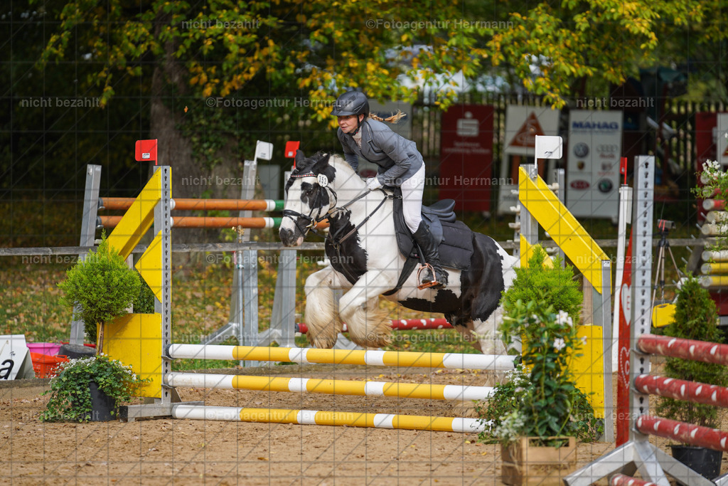 20221009-FAH08541 | Diessen am Ammersee, 2022, Dressur- und Springturnier, Reitsportbilder, Turnierfotografen Bayern, Pferdefotografen, Fotoagentur Herrmann, Turnierbilder