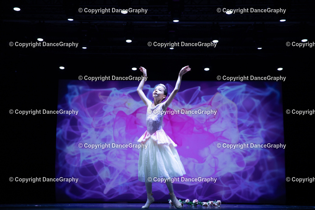 GPHY4797 | DanceGraphy - Realisiert mit Pictrs.com