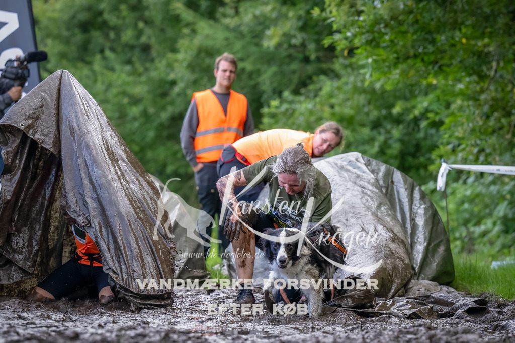 1153_ZZ90127-Bearbeitet | kk-dogfotos