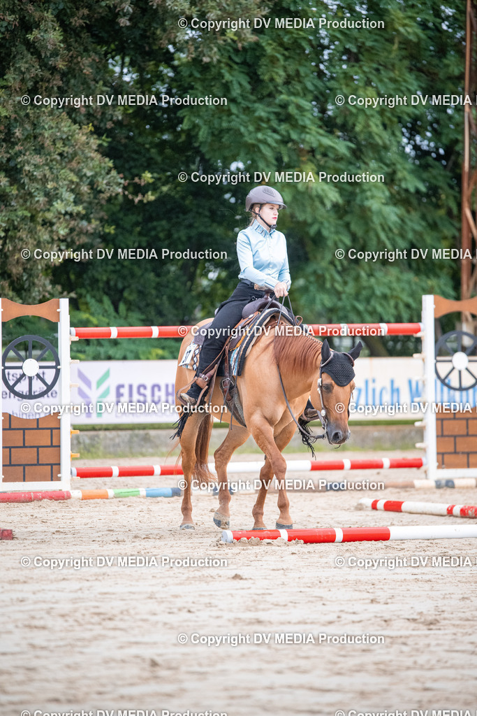 ZS3_4460 | dv-media-shop - Realisiert mit Pictrs.com