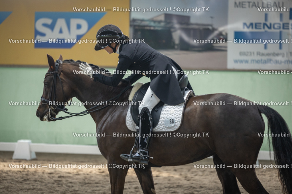 _D5A4940 | Emotionale Pferde- & People-Fotografie rund um Heidelberg, Leimen & Umgebung. Natürliche Fotos von Pferd, Mensch & Familie. Jetzt Termin sichern!