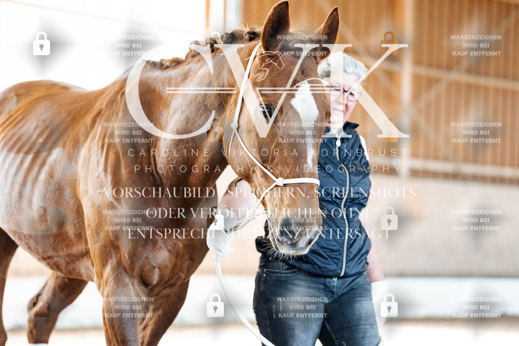 CK906189 | Turnierfotografie Pferdefotografie Trier Rheinland-Pfalz Pferdesport Reitsport Tierfotografie Sportfotografie Pferdevideo Pferdevideografie Equestrianvideography equestrianphotography  - Realisiert mit Pictrs.com