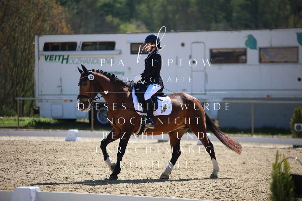 IMGT0784 | pl-fotografie