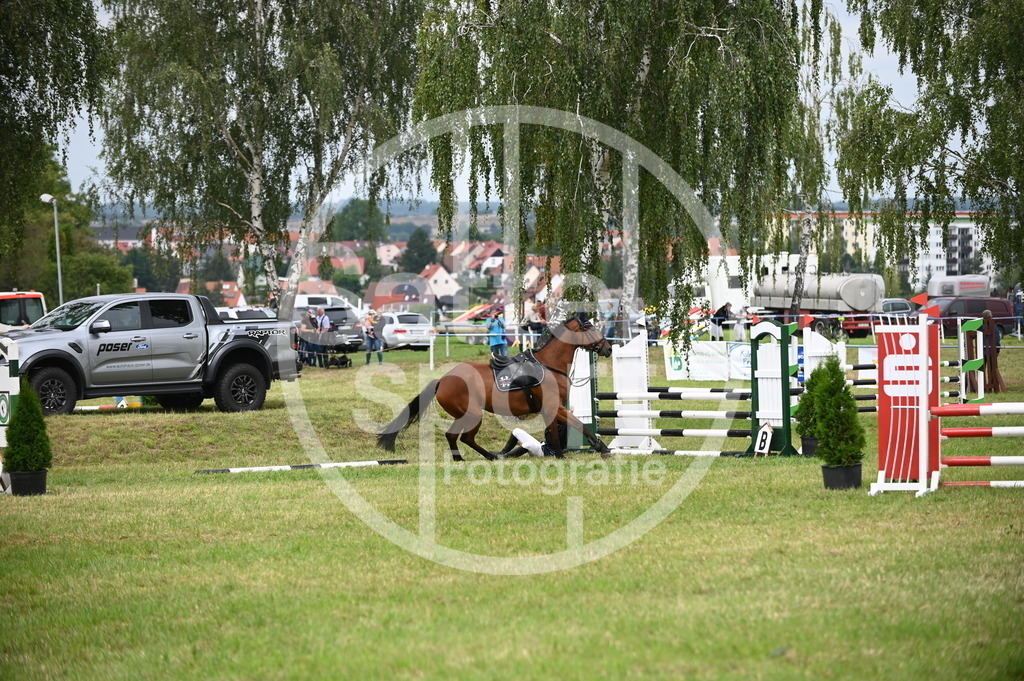 DSC_1781 | sattelsport - Realisiert mit Pictrs.com