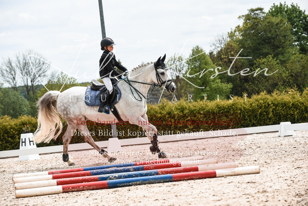 20230518_JK-Röhrsdorf-10-809 | Pferde- und Turnierfotografie in Westsachsen. Pferdeportraits, Auftragszeichnungen und intuitive Kunst.