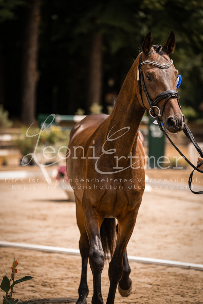 2. Fr00214 | Leoni Ertmer Photography - Realisiert mit Pictrs.com